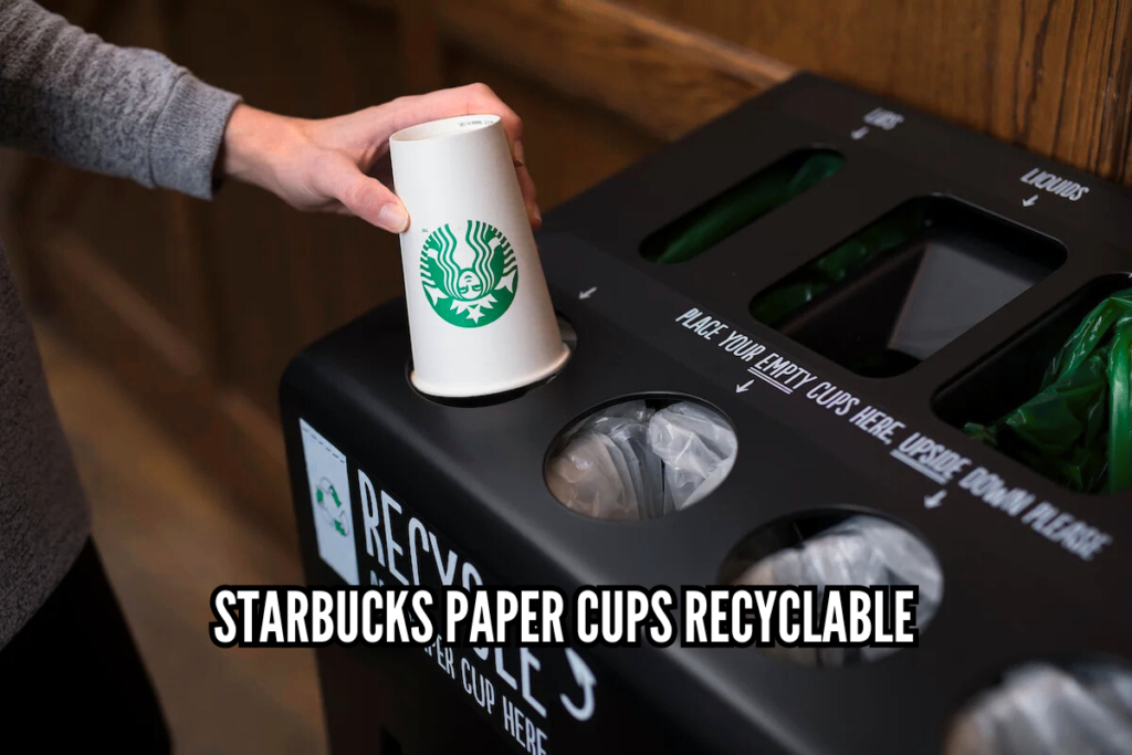 Starbucks Paper Cups Recyclable Design Waste and Sustainable Alternatives