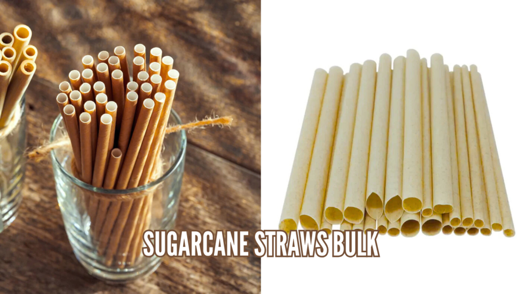 Sugarcane Straws Bulk Durable Sustainable and Cost Effective